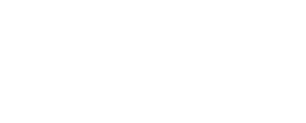RoamSmartTracker